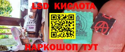 прущие крисы Кандалакша