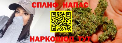 прущие крисы Кандалакша