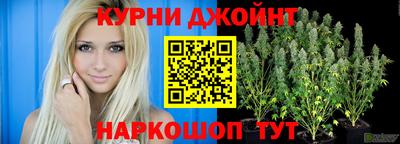 прущие крисы Кандалакша